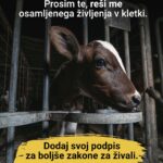 Podpiši pobudo in zahtevaj boljše zakone za živali!